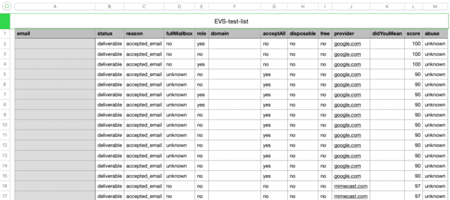 Bouncer email verification result download email list