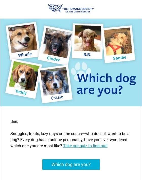 Humane Society of the United States fun nonprofit survey emails