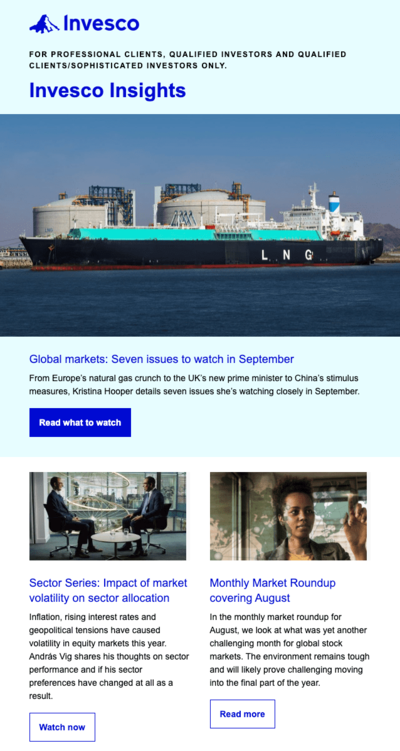 Investor updates and market commentary email campaign example