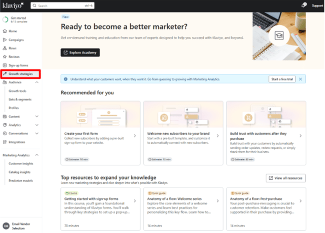 Klaviyo Growth Strategies