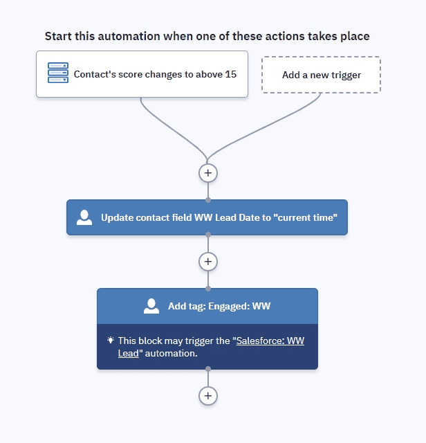 Palmetto Fortis lead scoring marketing automation workflow