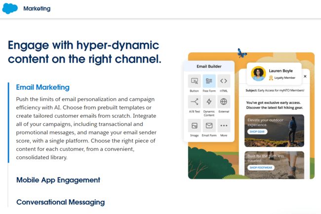 Salesforce crm system with email marketing
