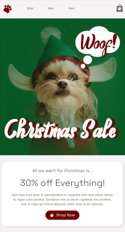 Stripo christmas email template for pets industry