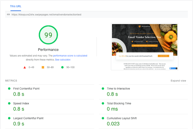 PageSpeed Insights report on a swipe pages landing pages