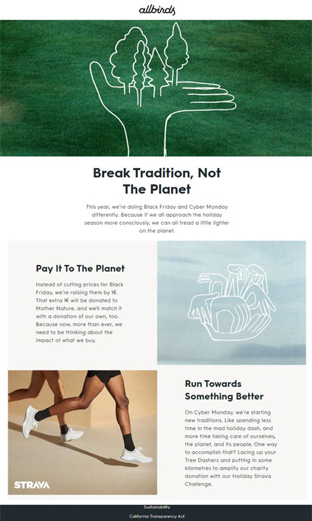 allbirds black friday email campaign