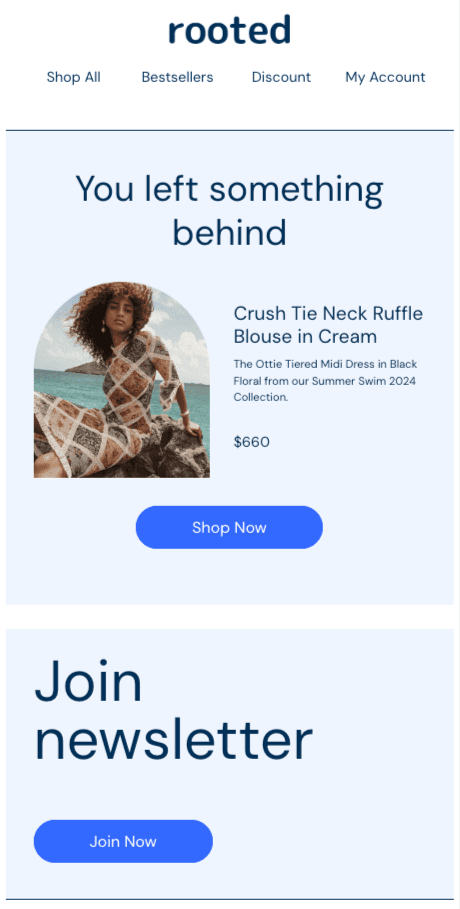 cart abandonment promotional email template