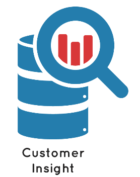 customer-insight