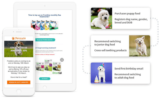 ejemplo de petsafe de reabastecimiento en comercio electrónico