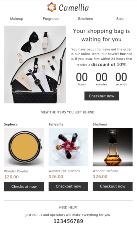 elegant promotional email template