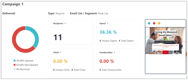 email campaign reporting and analytics