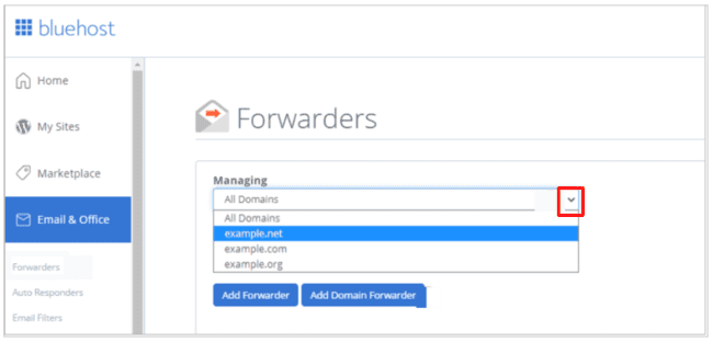 gestionar reenviadores de dominio en la cuenta de alojamiento web Bluehost