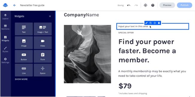 leadpages landing page editor