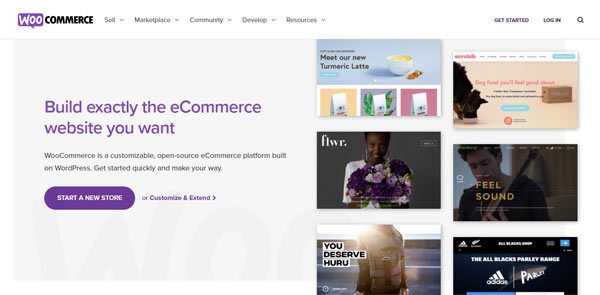 magento vs woocommerce