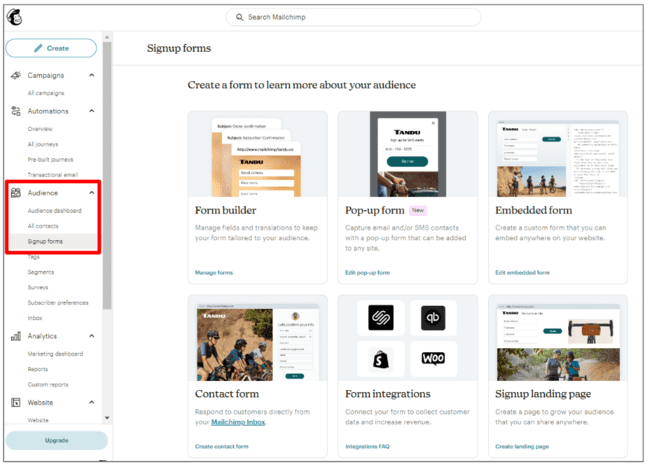 opciones del formulario de registro de Mailchimp