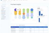 Rejoiner purchase analytics insights