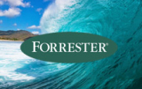 Forrester Wave email marketing vendors 2018 – our analysis