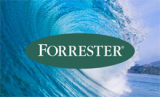 Forrester Wave Email Marketing vendors 2016 – our analysis