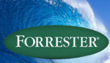 Forrester Wave Email Marketing Vendors 2014 – everything you need to know