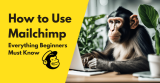 How to Use Mailchimp: Everything Beginners Must Know (2026)