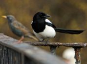 Tips to Avoid “Shiny New Things Syndrome” When Choosing a New ESP